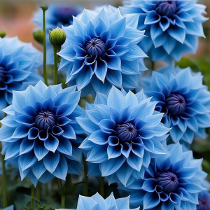 Георгин Вижапе купить по цене от 699р. в интернет-магазине «Посадика» с доставкой почтой в в Повориное и по всей России – [изображение №1].