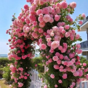 Роза Пастель Розе купить по цене от 605р. в интернет-магазине «Посадика» с доставкой почтой в в Повориное и по всей России – [изображение №1].